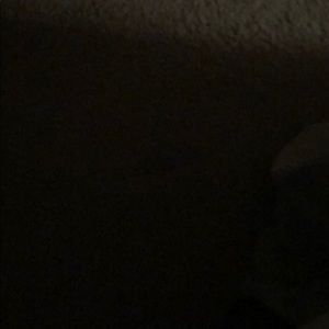 Meet your Posher, Damon